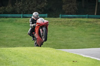 cadwell-no-limits-trackday;cadwell-park;cadwell-park-photographs;cadwell-trackday-photographs;enduro-digital-images;event-digital-images;eventdigitalimages;no-limits-trackdays;peter-wileman-photography;racing-digital-images;snetterton;snetterton-no-limits-trackday;snetterton-photographs;snetterton-trackday-photographs;trackday-digital-images;trackday-photos